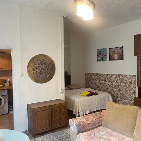 Frendlen Metsa Apartment Pärnu Buitenkant foto